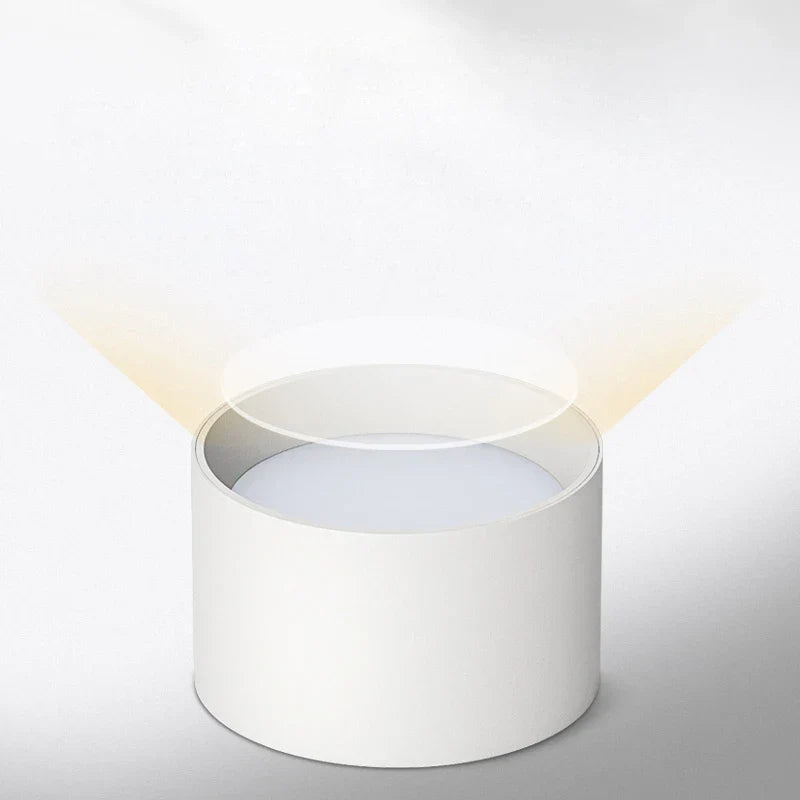 Plafonnier LED design moderne noir et blanc
